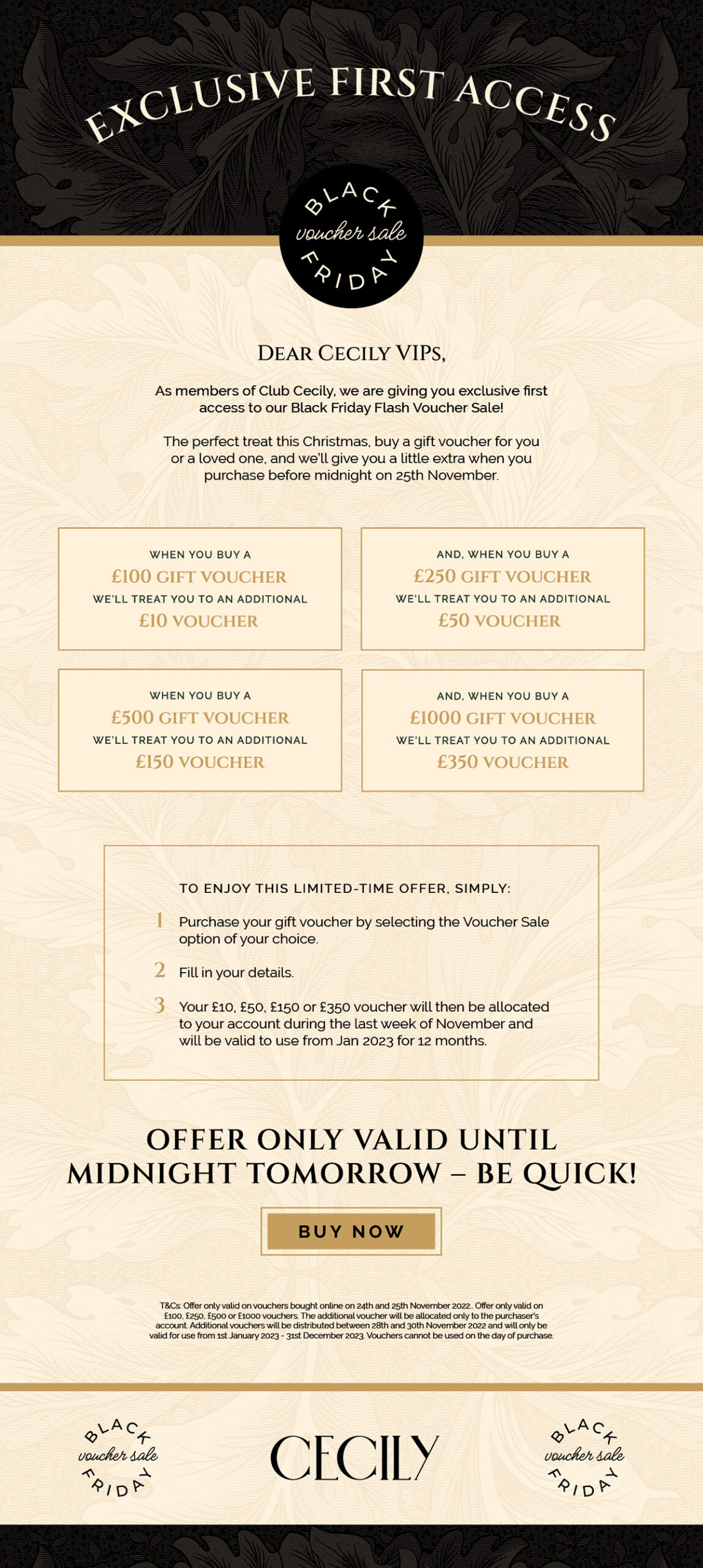 Cecily Day Spa_Newsletter