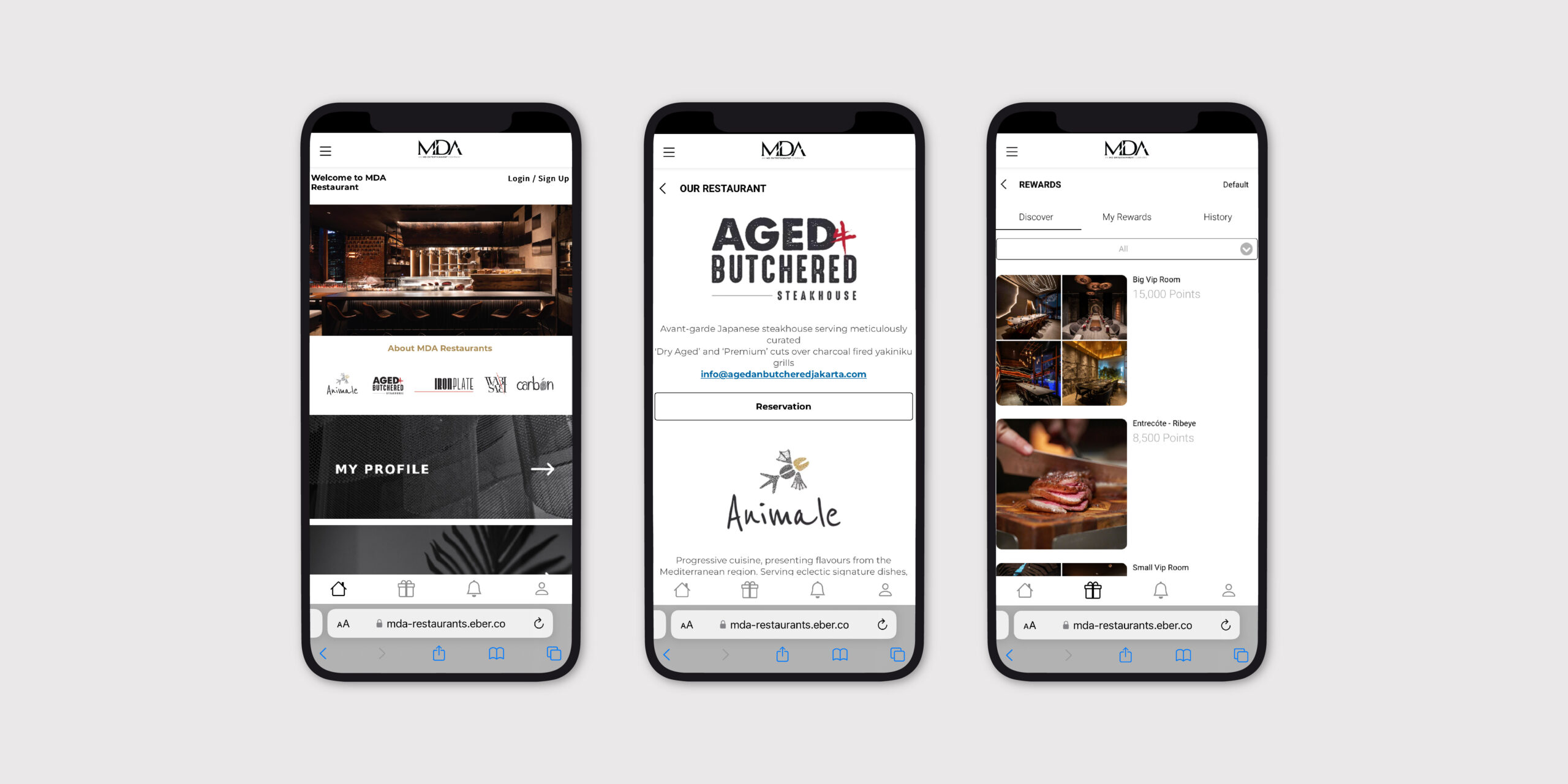 MDA_Mobile View